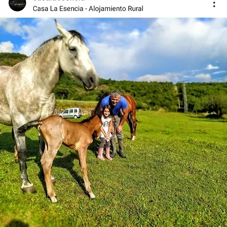 Appartamento La Bodega De Casa La Esencia Aínsa